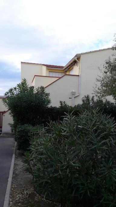 לה ברקרה Appartement, Terrasse Barcares, Proche Marche De Noel מראה חיצוני תמונה